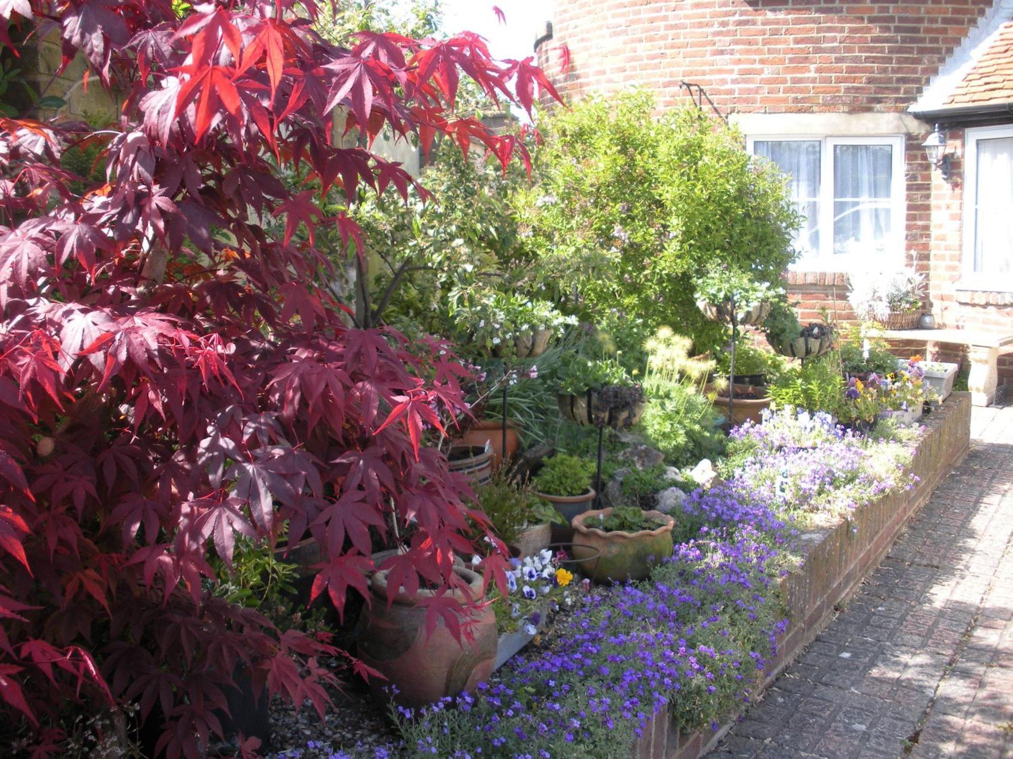 Manor Farm Oast Bed & Breakfast Winchelsea Exterior photo
